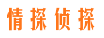 成武市私人侦探